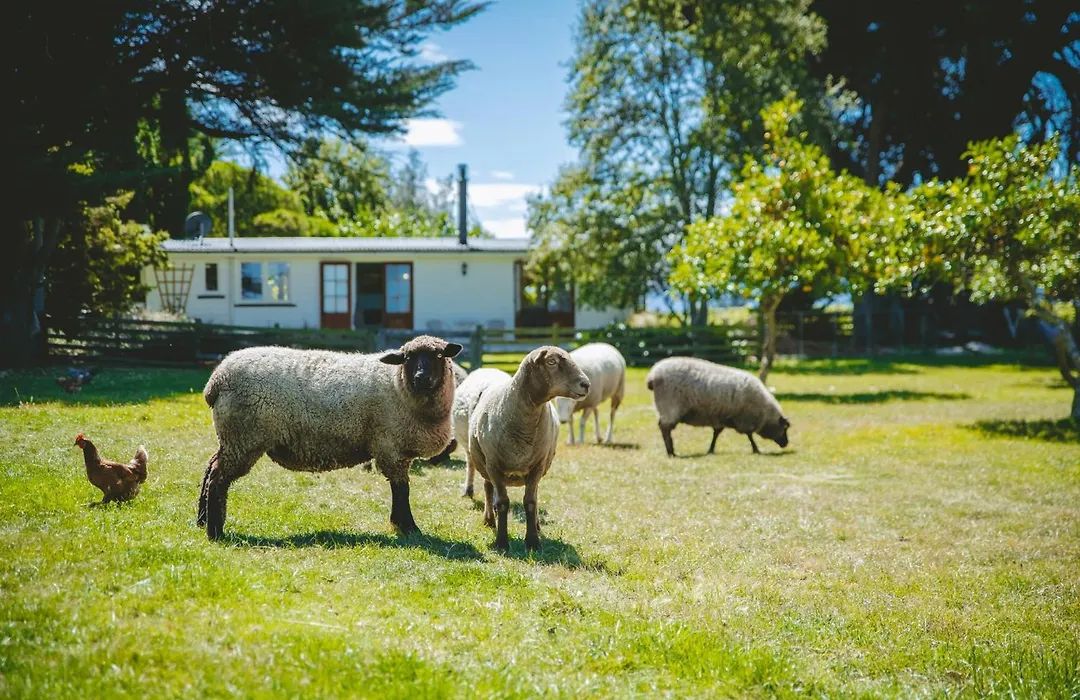 St Leonards Vineyard Cottages-1
